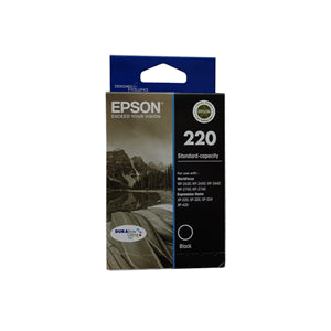 Epson C13T293192 ink cartridge Original Standard Yield Black