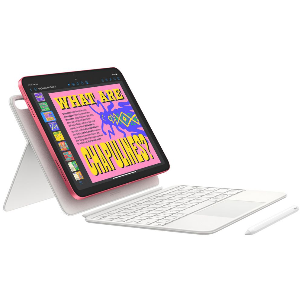 Apple iPad