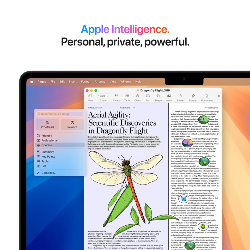 Apple MacBook Air 15"