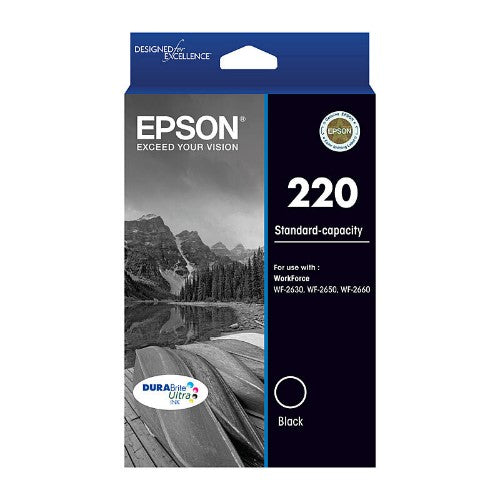 Epson C13T293192 ink cartridge Original Standard Yield Black