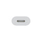 Apple USB-C to Lightning Adapter