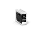 Epson UltraChrome Pro10 ink cartridge 1 pc(s) Original Black