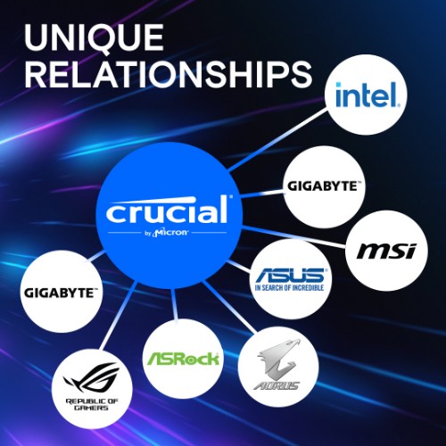 Crucial Pro CP16G60C48U5 memory module 16 GB 1 x 16 GB DDR5 6000 MHz