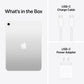 Apple iPad