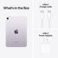 Apple iPad Mini