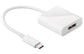 Astrotek AT-CMDP-MF video cable adapter USB Type-C DisplayPort White