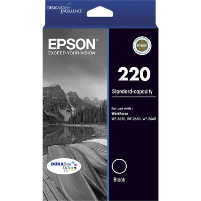 Epson C13T293192 ink cartridge Original Standard Yield Black