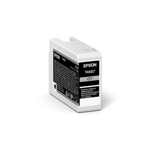 Epson UltraChrome Pro ink cartridge 1 pc(s) Original Grey
