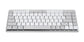 Logitech MX Mechanical Mini for Mac