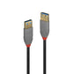 Lindy 1m USB 3.2 Type A Extension Cable, 5Gbps, Anthra Line