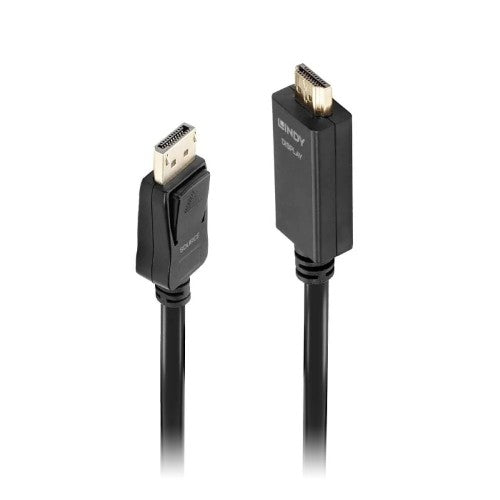 Lindy 1m DisplayPort to HDMI 10.2G Cable