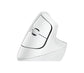 Logitech 910-006480 mouse Office Right-hand RF Wireless + Bluetooth Optical 4000 DPI