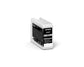 Epson UltraChrome Pro ink cartridge 1 pc(s) Original Grey